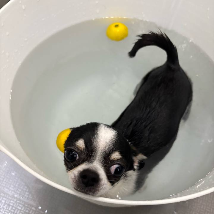 E6b05702 4404 4085 8394 8dadd8b6a710 1766378356320