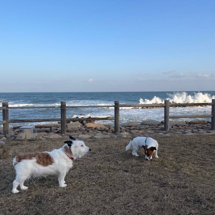 E6b05d4d 2db7 400c b5a7 5b8404ab2125 1741905622839