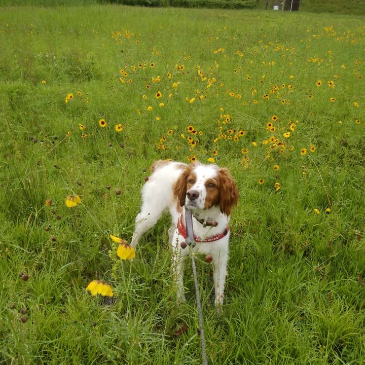 E6b0759f 42c0 4395 9339 d6b33451b020 1529754170517