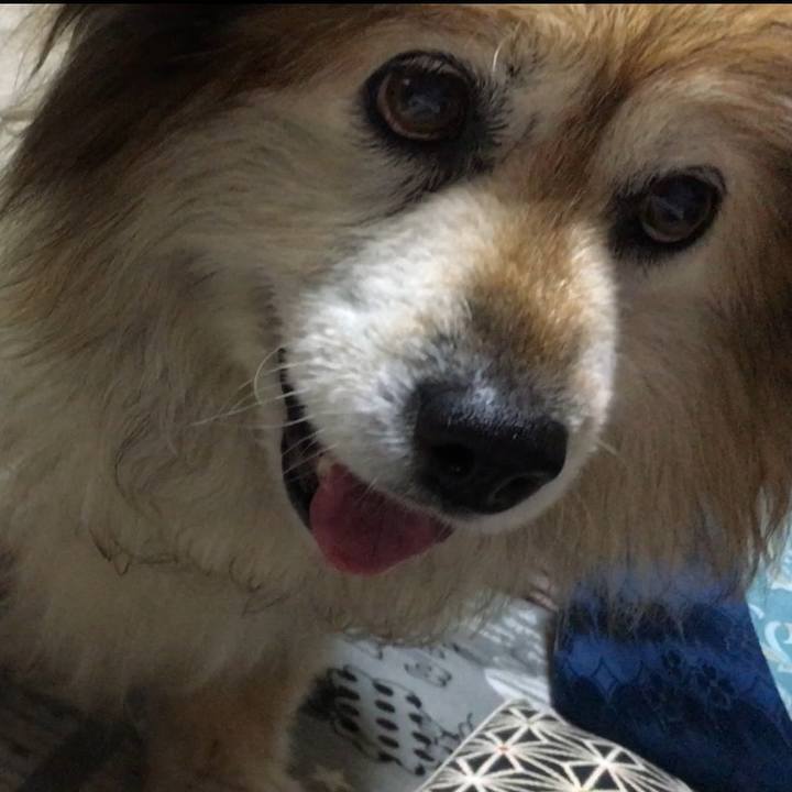 E6b0c1e4 cd45 41fe 8822 f2e9f23fff52 1637129619570