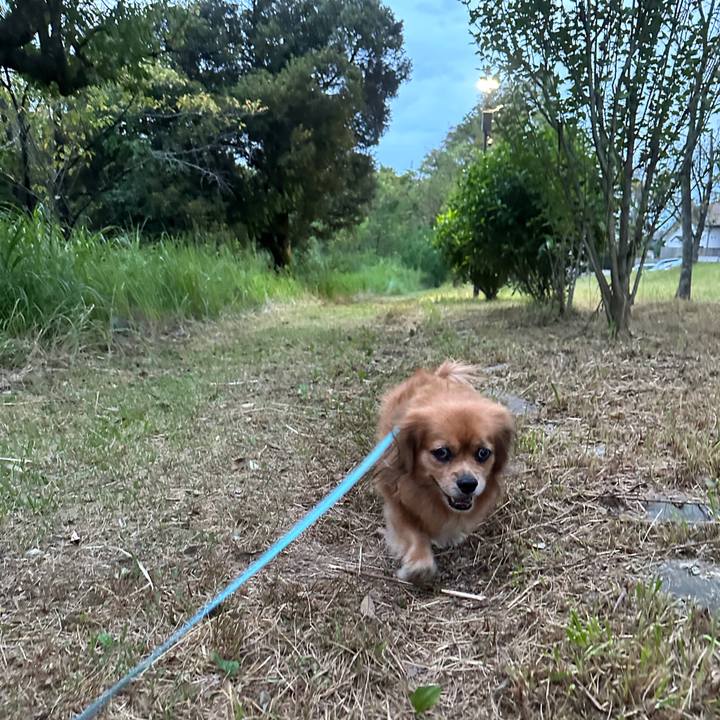 E6b0d72f 5263 4575 971b 8d8e30694d0c 1693774748290