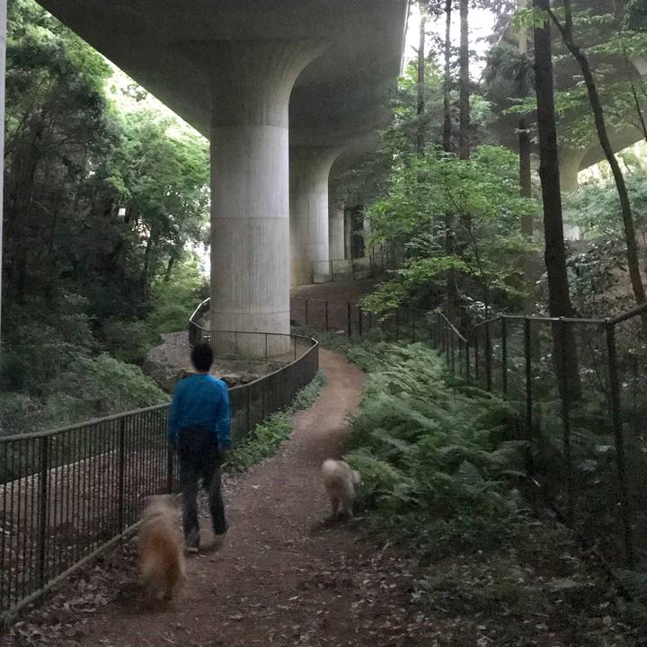 E6b0e7c3 1f5b 487b 8306 2f3a75ee79f4 1589726578208