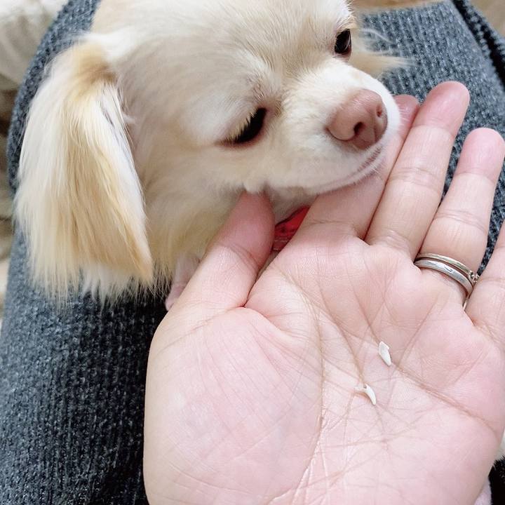 E6b11b29 ffd7 4cfd 87e7 d3872ce7ae3f 1617248095935