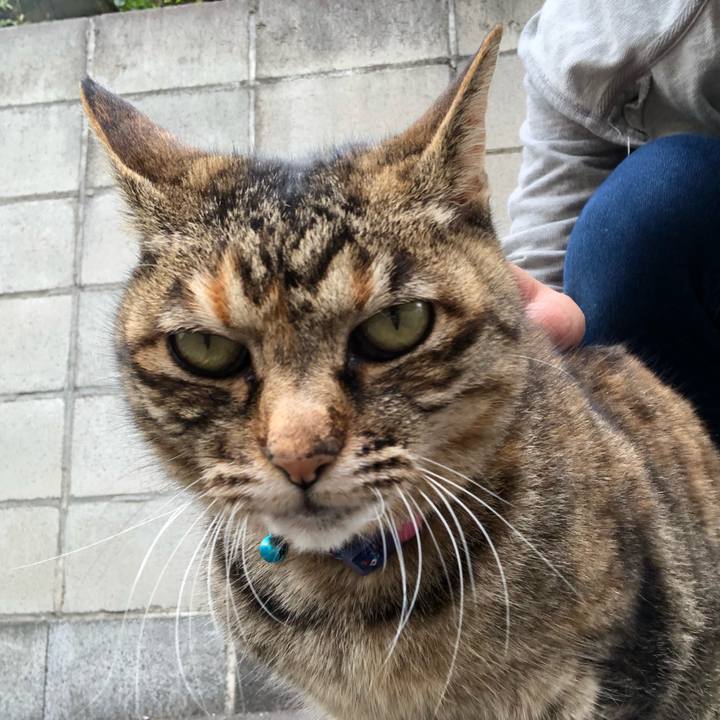 E6b14139 288a 4075 b959 5bc60c5d6561 1524067607231