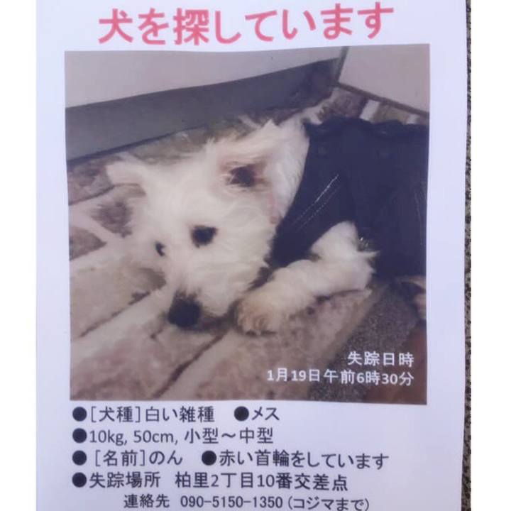 E6b157f4 c1ee 4b8f b409 a88c1fd98d76 1547986803921