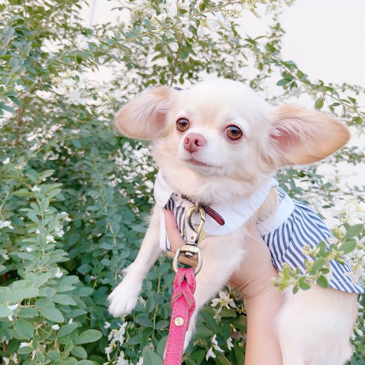 E6b15a65 84fc 414c 8801 c1e9b3b897d7 1697199643607