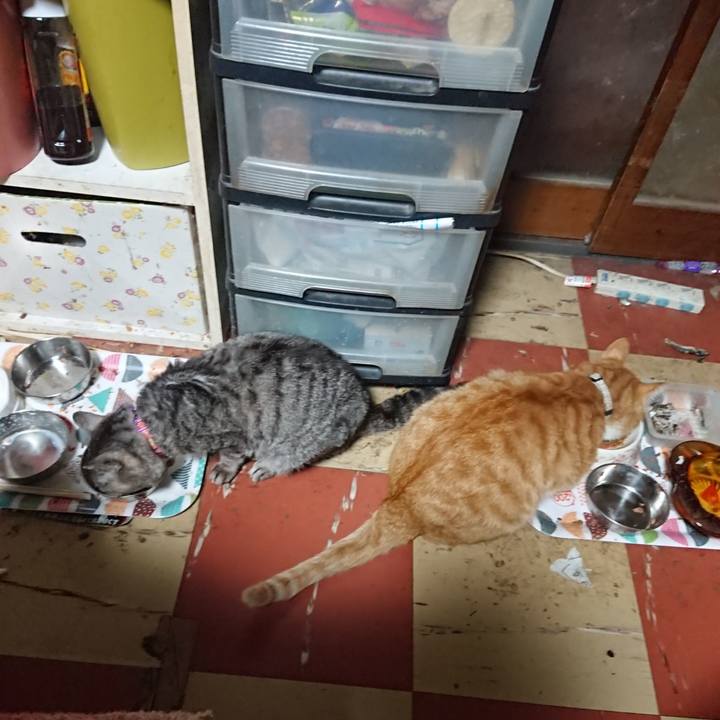 E6b15f7b f615 4d6b 9a20 b909d90c24dd 1589313318253