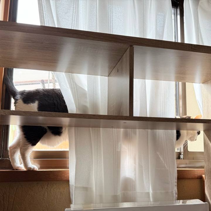 E6b16e35 e92d 418d 80c3 e3be6f886a7e 1744509817383