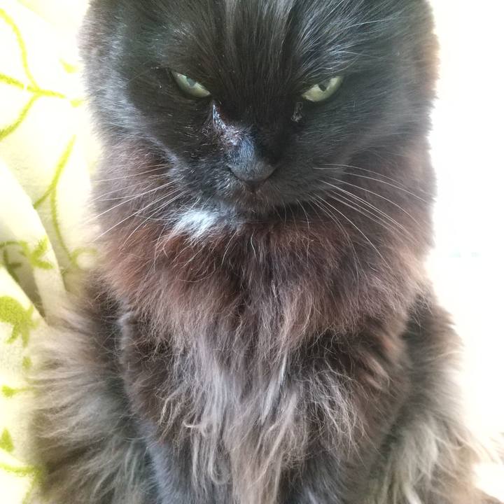 E6b19003 9cb7 4afc bdc2 395f84478276 1585266262979