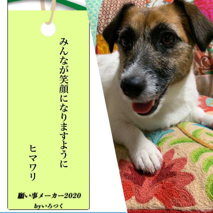 E6b19d13 5fb4 4632 98ea f9ab0a63d2a7 1594124100625