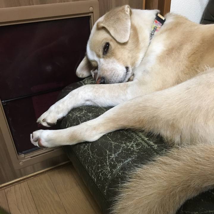 E6b1bb44 2414 4403 9fa0 b263fc7fefff 1539091308840