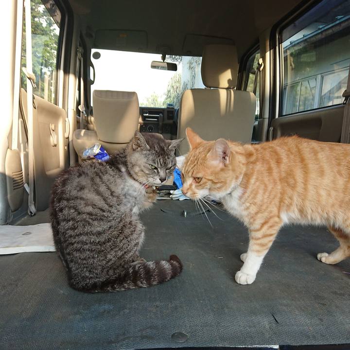 E6b1c0a4 8fde 4bc8 b5f4 810e33608c0c 1592599584691