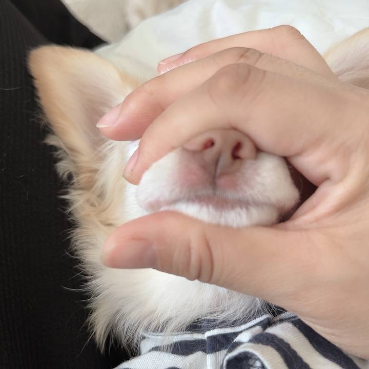 E6b208fe 2016 417c 816b c207110e84cf 1727600125839