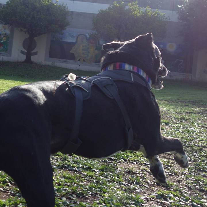 E6b225aa 600b 451a bffe 3b1da4c7a93f 1649465177091