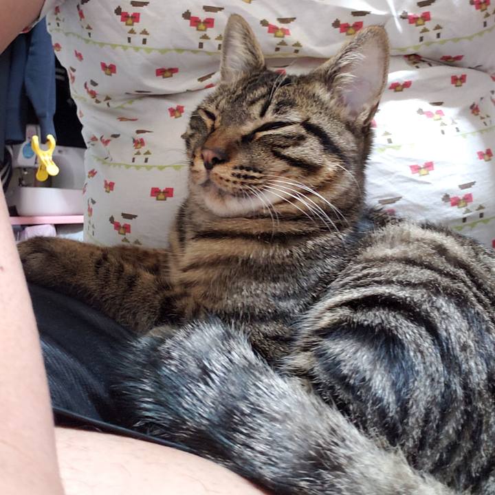 E6b2268f 4c68 4fec 8a55 c4da5ba04d4b 1547472107454