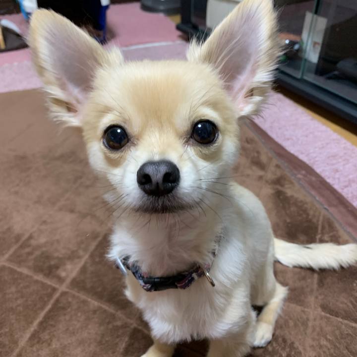 E6b26da8 7572 468b aa31 cf90fd5eb95f 1554020669713