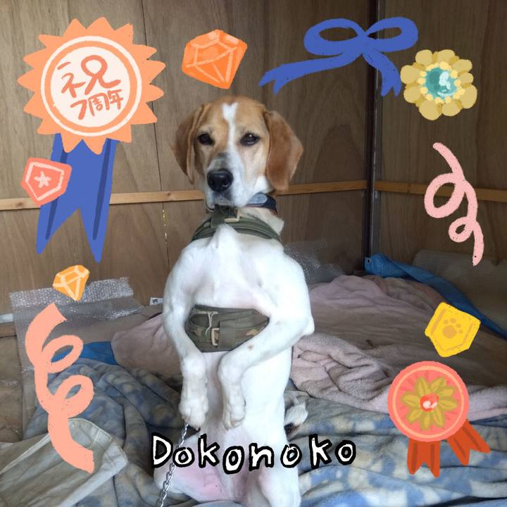 E6b29640 aa96 4ded 890d a83caaac398a 1685936066174