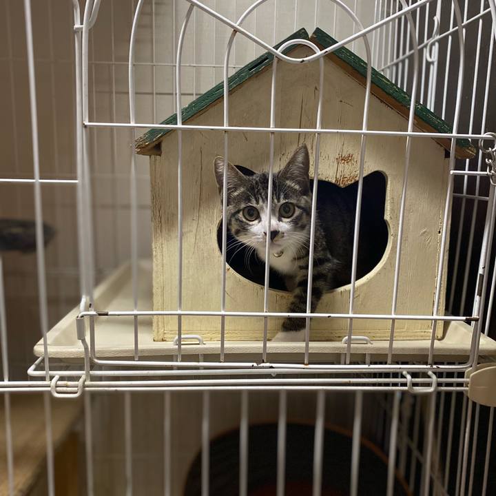 E6b2adb1 bb32 4bed abe0 0f21e728fcd2 1692227523672