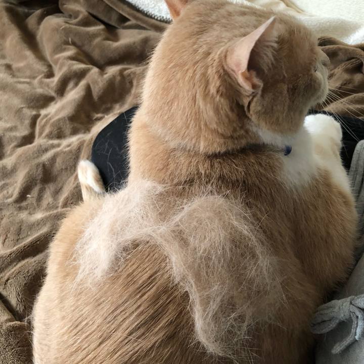 E6b2c3d3 1a1d 4201 ba3e d7ace6c4ef8b 1570178773634