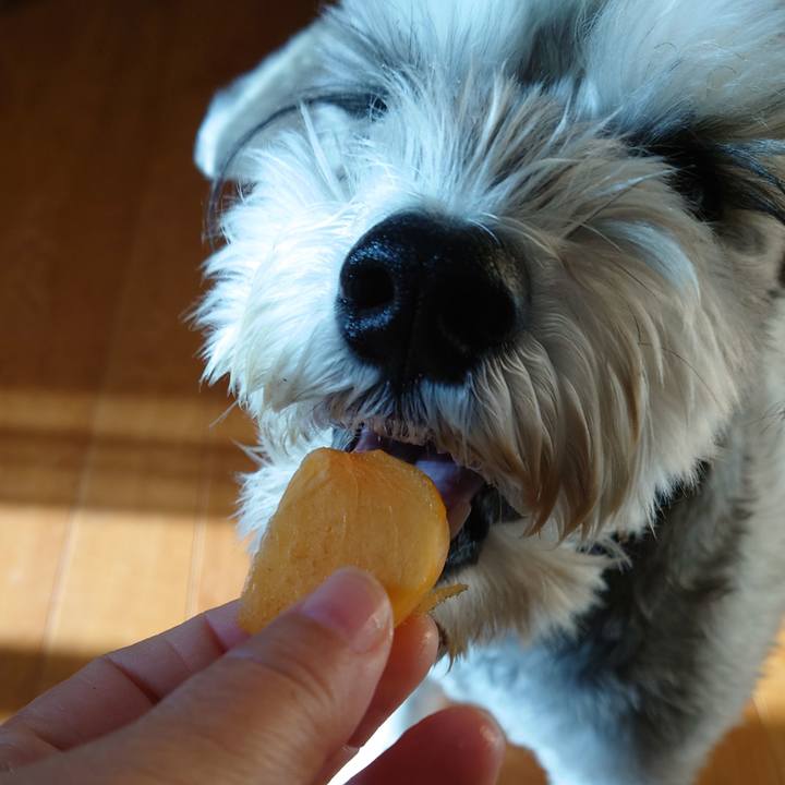 E6b2c8b0 8ef0 42b8 988a 3e22f19bfda5 1763853470628