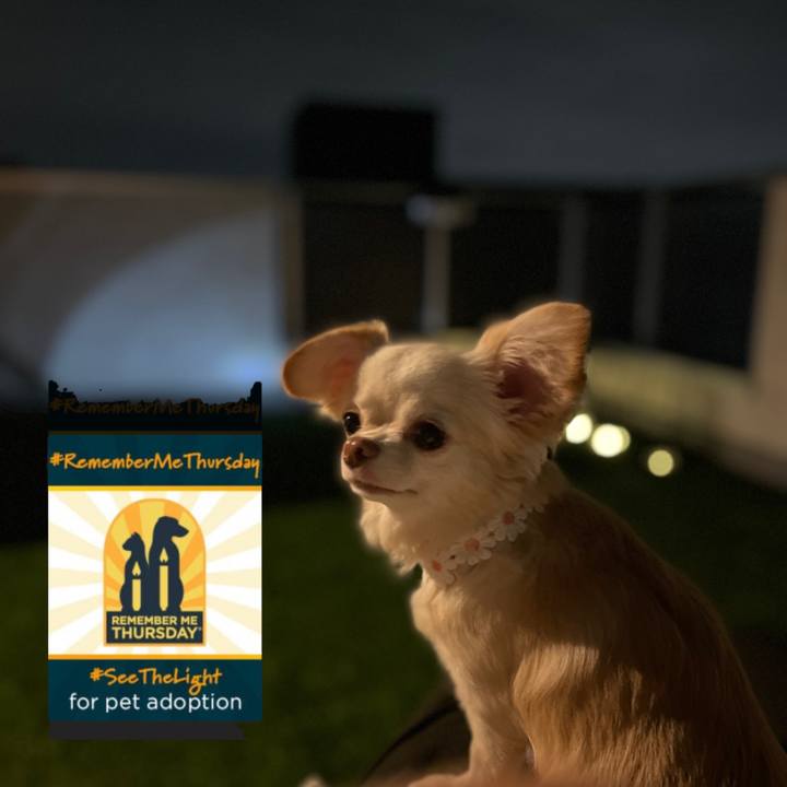 E6b2f521 290f 4af7 a363 24294c09dfd5 1695822497759