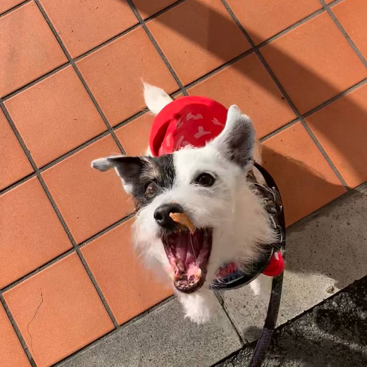 E6b317fb ff48 4781 becd dbff786df514 1733099755243