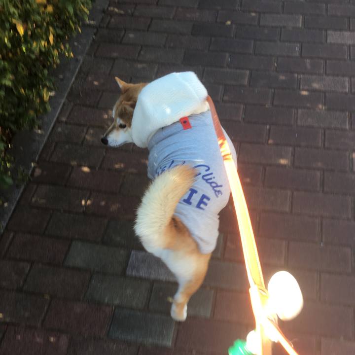 E6b327f3 1f78 49cf 98f6 af78228bff5f 1546830170928