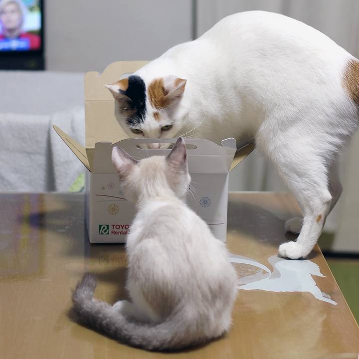 E6b339f7 1218 41af 9eab 3f0f1be36213 1599909755336