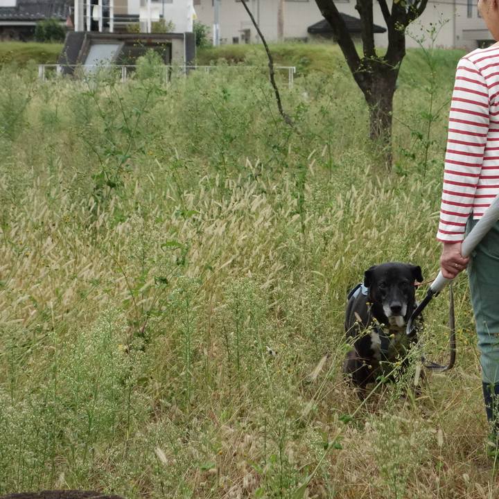 E6b3866e 062b 4898 b5a9 41d069ea0d4f 1729813193554