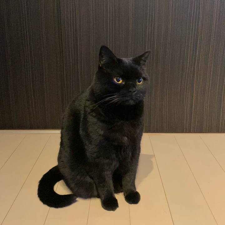 E6b39e2e 358a 46df bbaf 4b4fb47d8656 1735478238212