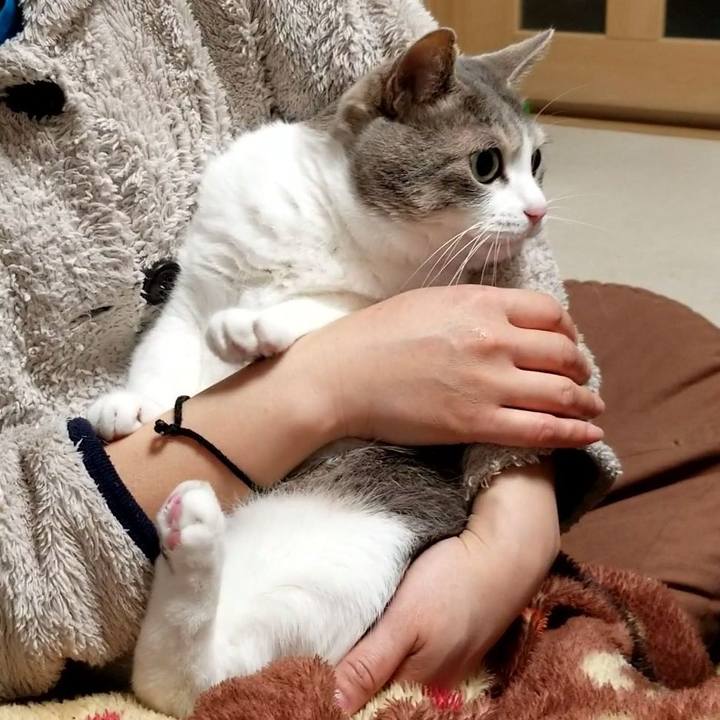 E6b3b946 4d6e 41ae 8242 cf16685f455e 1616336501862