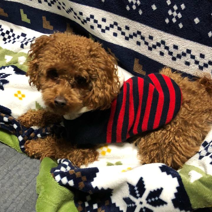 E6b3bdae e451 4083 af0b 2ce56e93664b 1517392448209