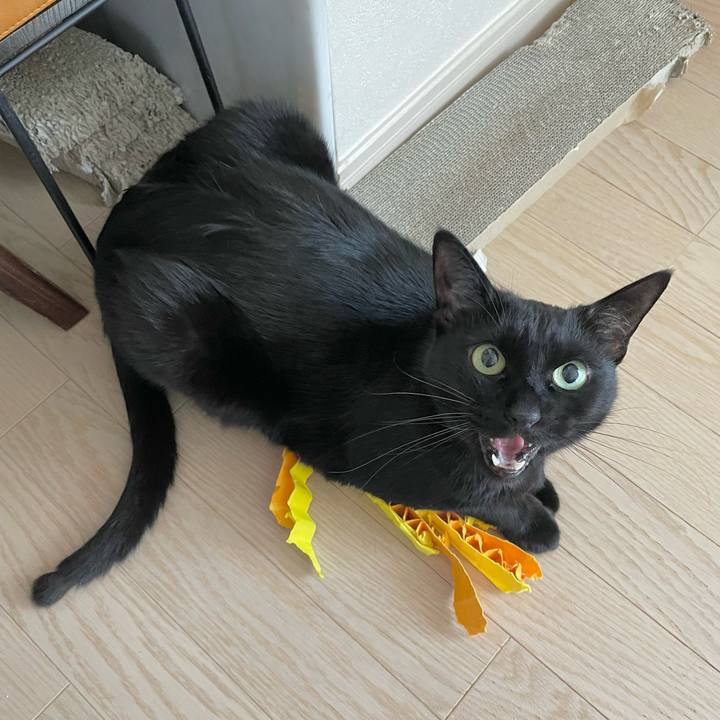 E6b3be75 da2f 42e0 9bb7 e05c46088812 1677501639290