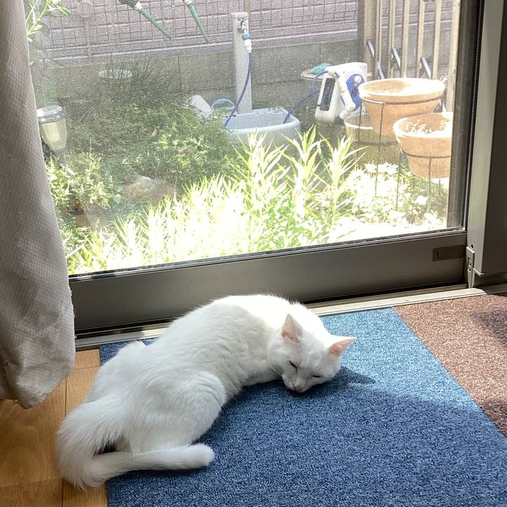 E6b441a5 eeb1 4ff9 a458 1fa9767a63b1 1656466528905