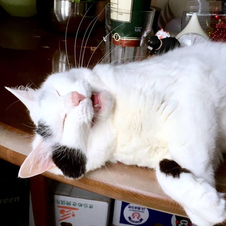 E6b488c9 3cf4 48f3 8233 fd9d09dcdfd3 1562557237513