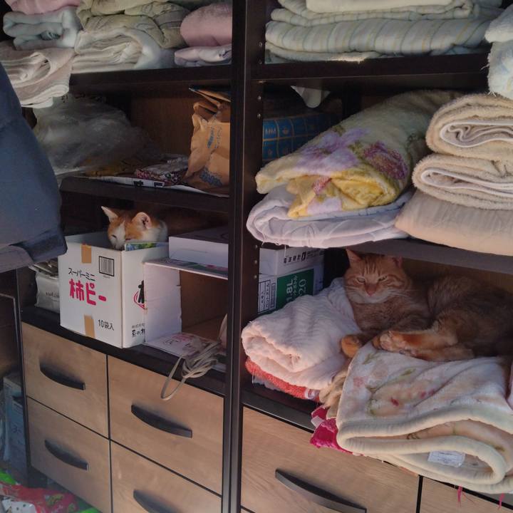 E6b48ca2 381e 4434 adec 5738c90e78e2 1760518536926