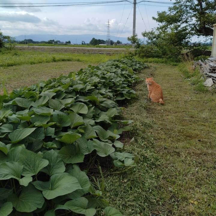 E6b49318 9a4e 403e be5c fce17beff1f5 1721034850035