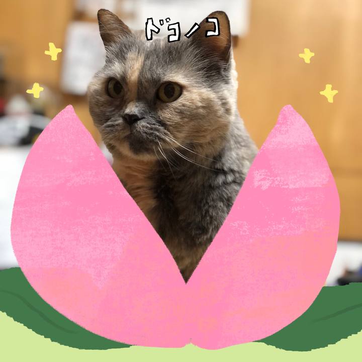 E6b49a2b b1ab 486c bd25 330ab33cdeca 1771826816039