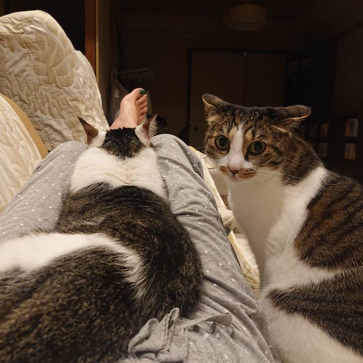 E6b4b1b6 32a0 4164 b773 7d9ade89805e 1653609653167