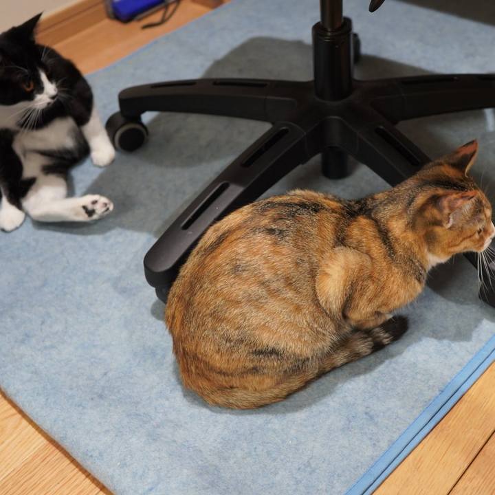 E6b4b396 3cca 4cbc ab73 91f11e02e337 1587088462041