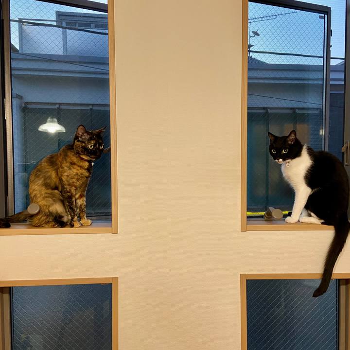 E6b4b83c dcdc 48ba 9ab7 10995beaf050 1623499595152