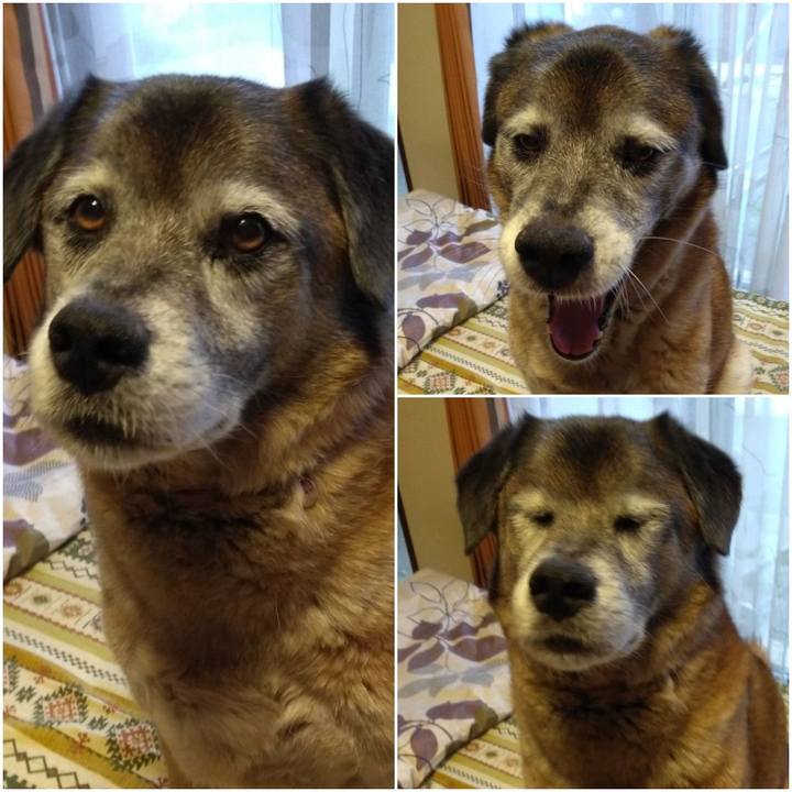 E6b4ec30 f9e9 4fc9 b454 aec23c72640c 1560853510829