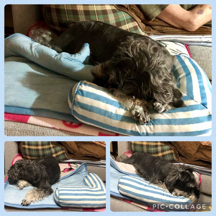 E6b4f623 f791 4890 9e03 15fcbe5cb1b3 1688178784742