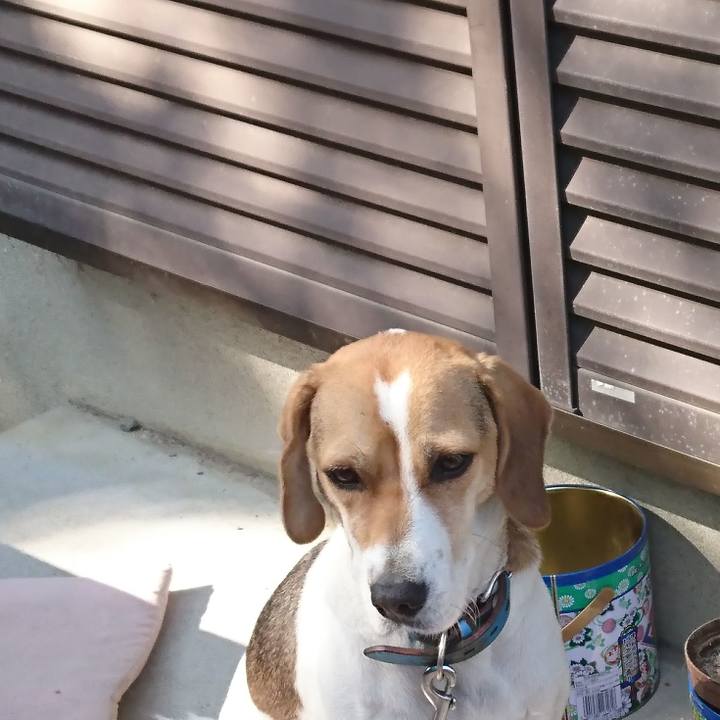 E6b4fa68 9271 424a b86b e035e7a8341f 1572857107150