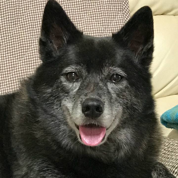 E6b5194d c719 4eeb 8262 88291f44466a 1528975872392