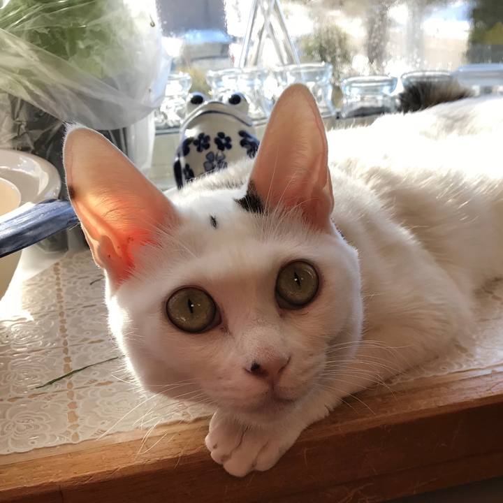 E6b57450 2a80 4882 a4f6 1dc04a7869dd 1521604183383