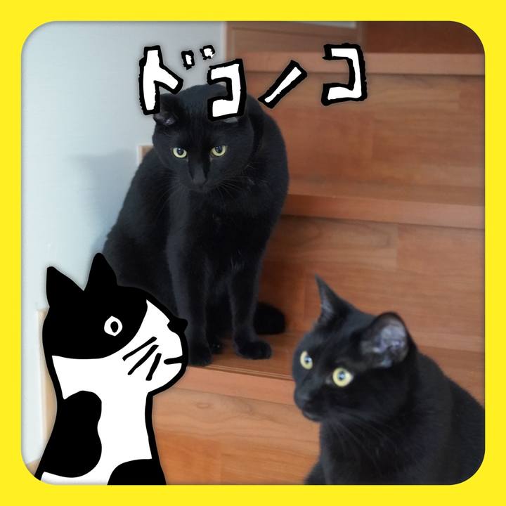 E6b58ef2 46ea 423a 809e da7038e7d03c 1622961254791