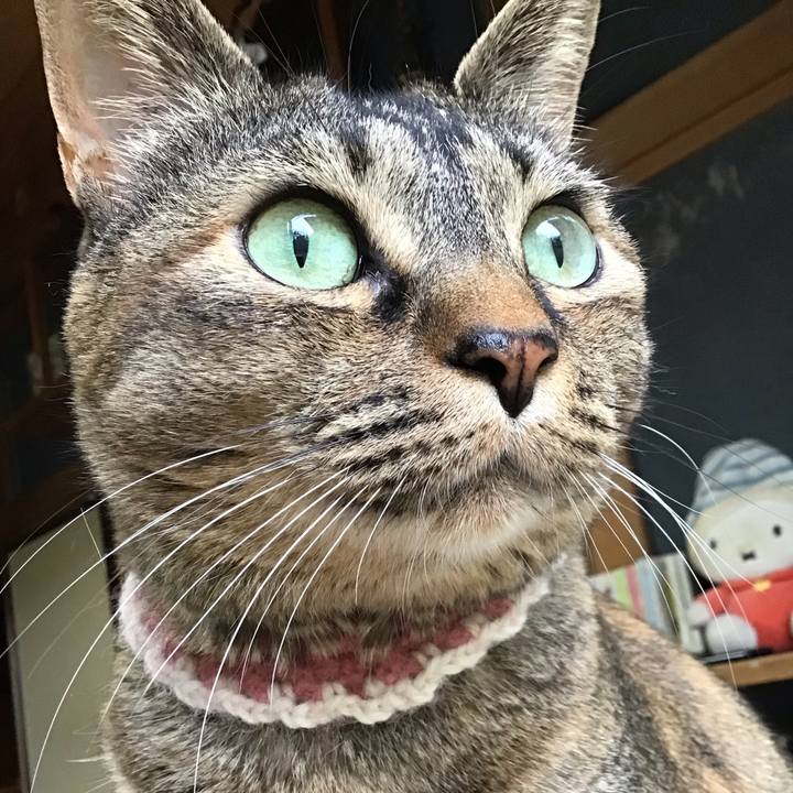 E6b5cd4f 2b80 4cdd 8d74 2a87c536ce5b 1715764418197