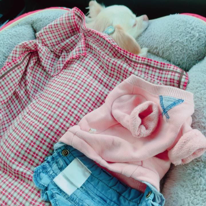 E6b5fa46 43a3 43b4 9744 bf76d3db9abb 1700395864234