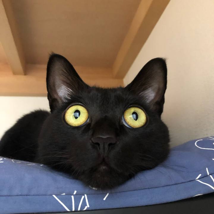 E6b5fca7 fa2c 4a26 999e 12177f21bd1d 1551498841899